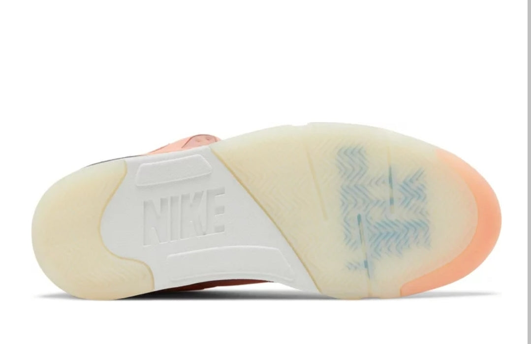 Jordan 5 we the best