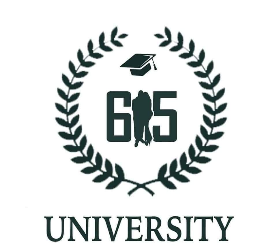 615 University 1:1 mentorship